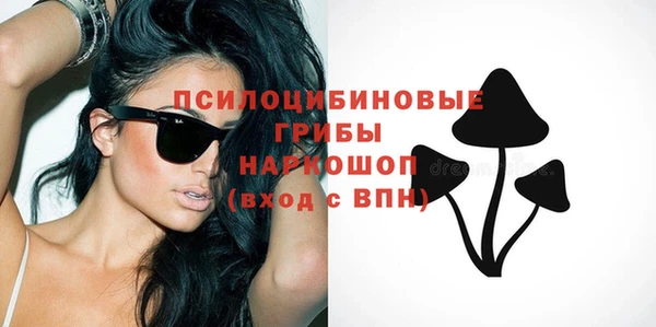 дурь Алзамай