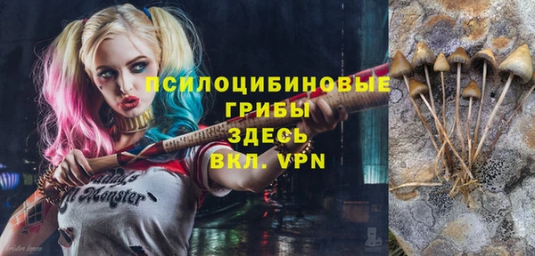 дурь Алзамай