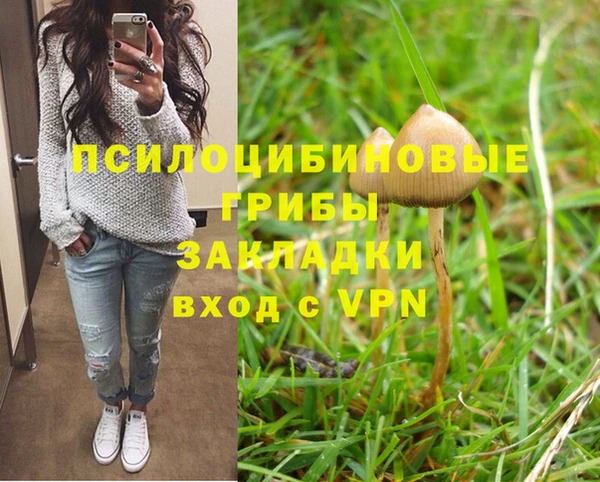 дурь Алзамай