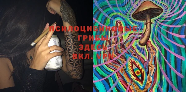дурь Алзамай