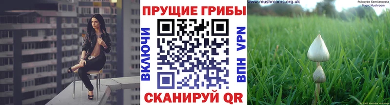 Псилоцибиновые грибы прущие грибы  наркотики  mega как зайти  Питкяранта 