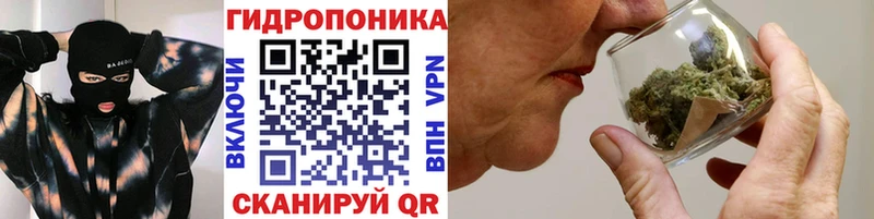 Конопля LSD WEED  darknet формула  Питкяранта 